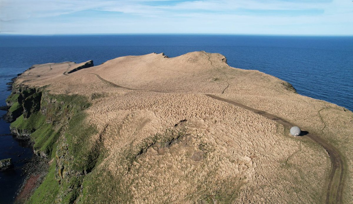 Iain Cameron tweet media