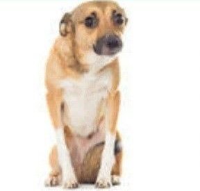 beki ⋆˚꩜｡݁ ˖Ი𐑼⋆ tweet media