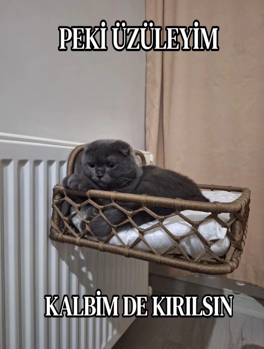 her gün ödül maması yiyemezsin dediler