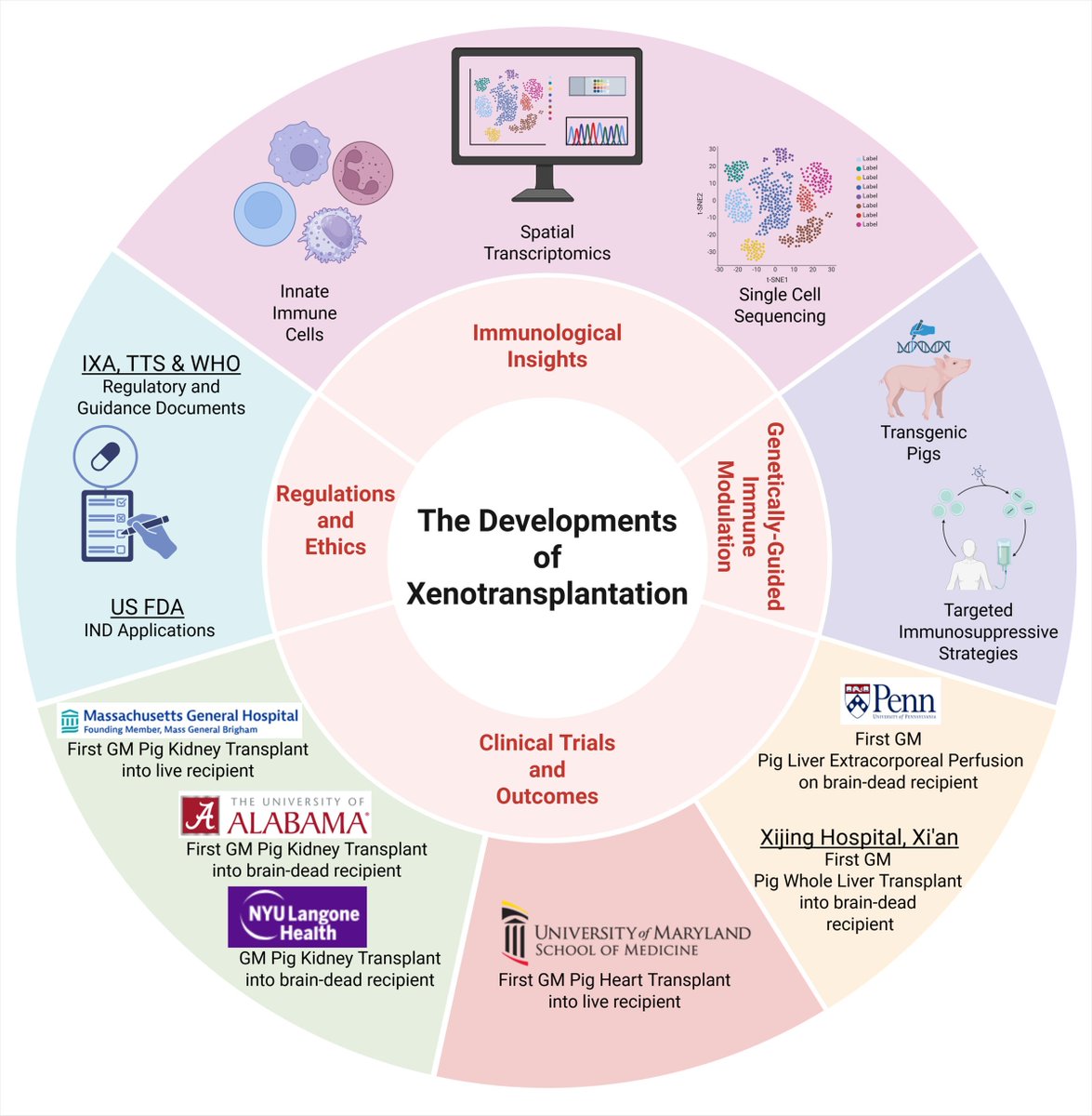 Transplantation tweet media