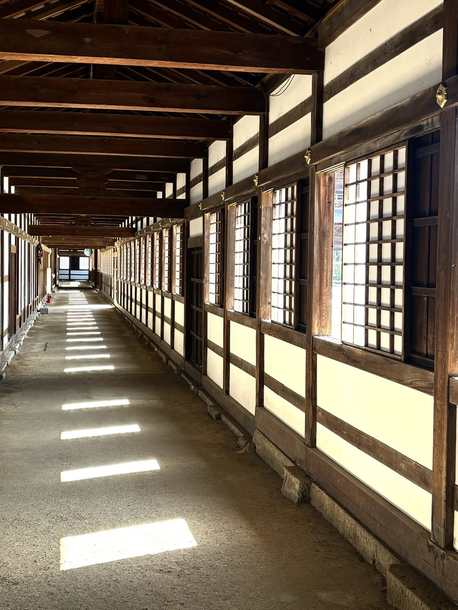 iririn0710's tweet photo. 瑞龍寺の開口と外壁の割り付けが見事なプロポーション.
障子の割り付けに合わせて微妙に開き方を変えているところも住職の方のこだわりを感じる.
日本の古典建築なのにどこか修道院的な回廊性もあり、プロポーションにはモダンも感じる不思議な体験. https://t.co/rmJ5fRMpJQ