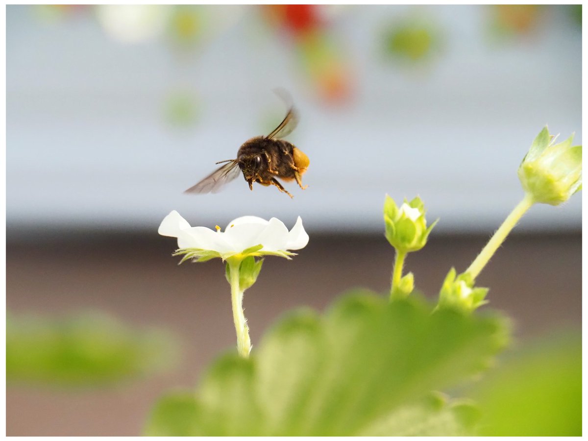 片田陽依 tweet media