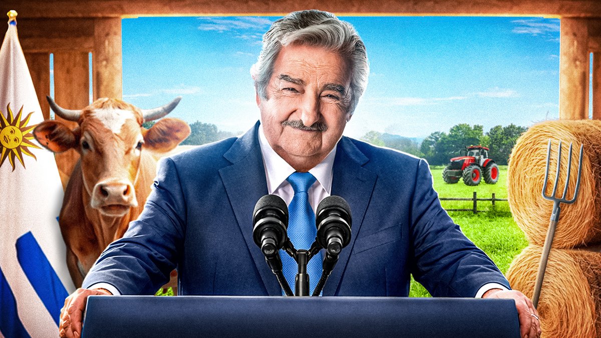 LTDD Studio tweet media