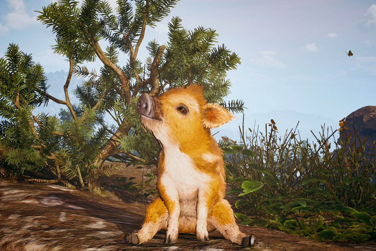 Flibbley NovA tweet media