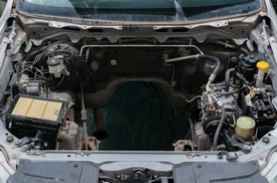 funny_thinker1 tweet media