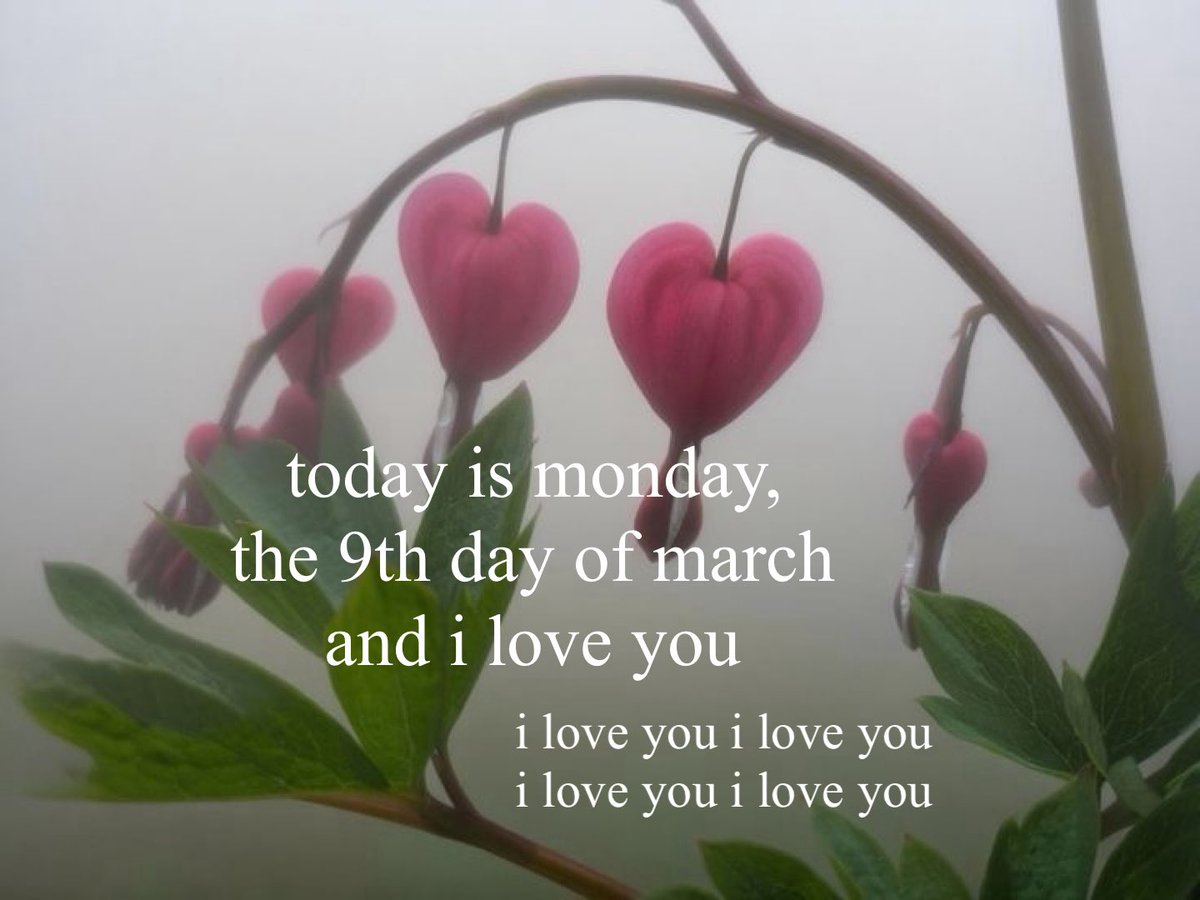 luvicle (@saiwormoon) on Twitter photo 