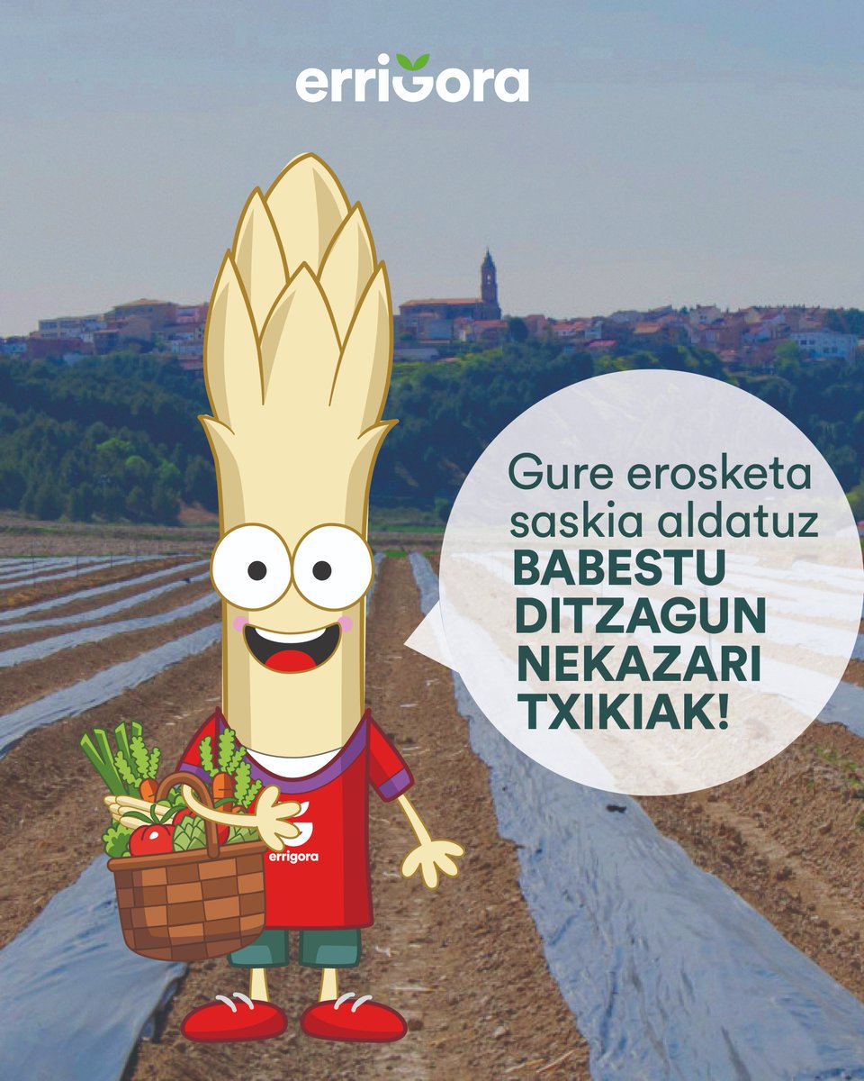 ERRIGORA tweet media