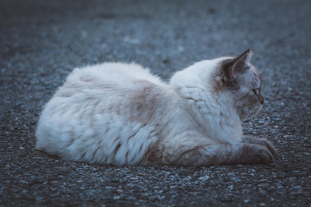 Lori Robles tweet media