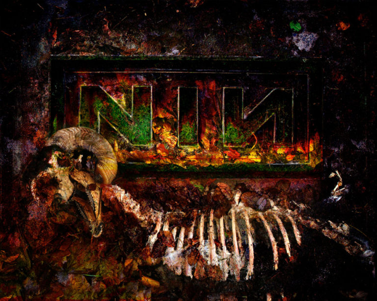 NIИ MISC ✯ tweet media