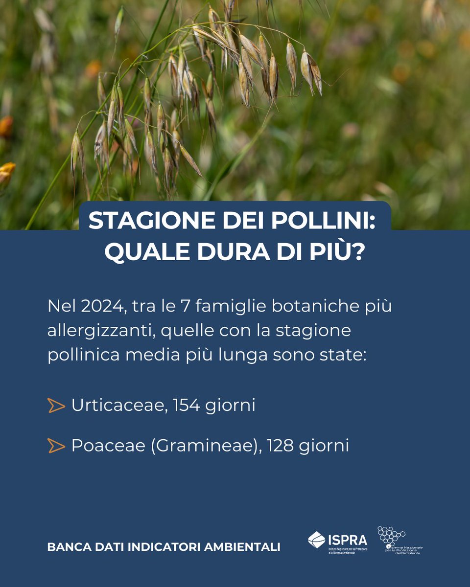 ISPRA - Ist. Sup. Protezione e Ricerca Ambientale tweet media