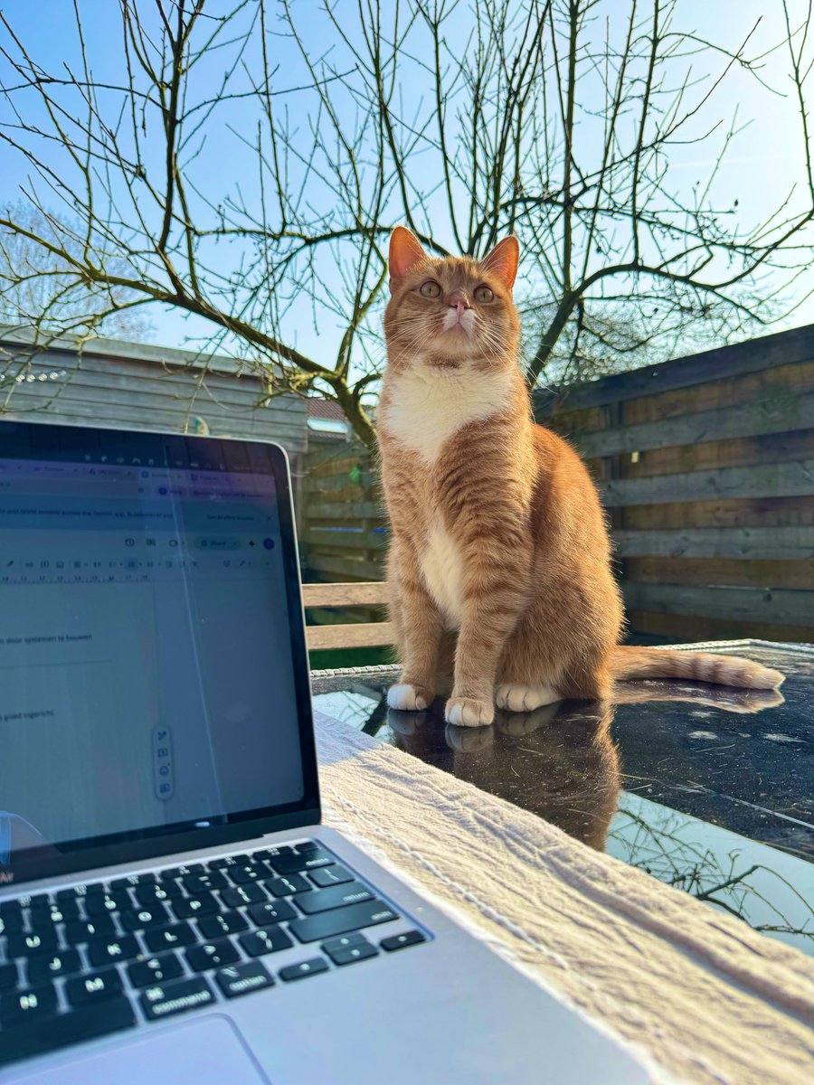  Canol Zeren tweet media