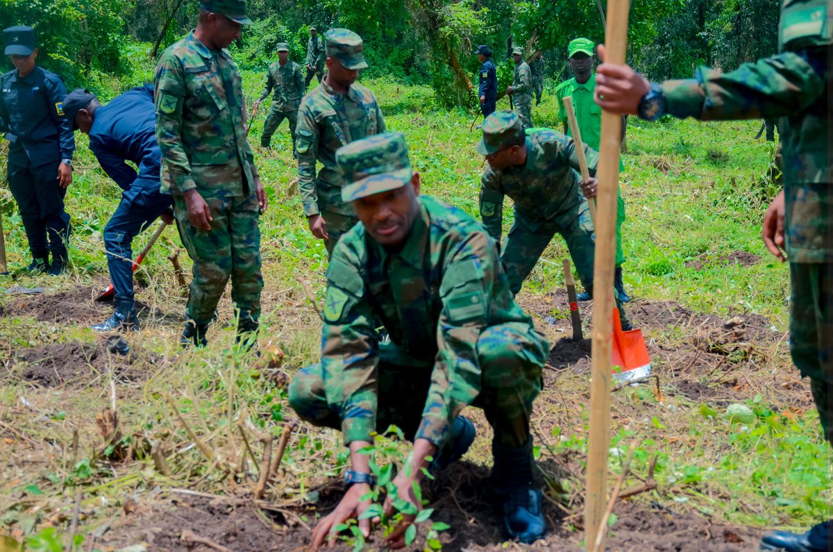 de_ndoli's tweet photo. Uyumunsi kuwa 9/3/2026 Umugaba Mukuru w'Ingabo z'u Rwanda  Gen. Mubarakh Muganga, yifatanyije n'abandi bayobozi na baturage ba @NgaramaSectorR mu gutangiza ibikorwa bihuriweho by'Ingabo na Polisi by'u Rwanda  bigamije kuzamura iterambere n'imibereho myiza y'abaturage. @RwandaMoD https://t.co/d3M6kk4Oy3