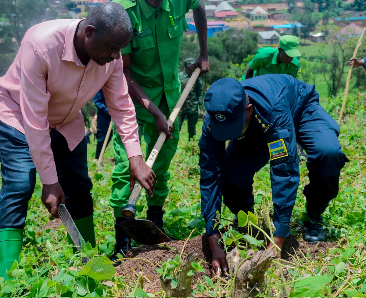 de_ndoli's tweet photo. Uyumunsi kuwa 9/3/2026 Umugaba Mukuru w'Ingabo z'u Rwanda  Gen. Mubarakh Muganga, yifatanyije n'abandi bayobozi na baturage ba @NgaramaSectorR mu gutangiza ibikorwa bihuriweho by'Ingabo na Polisi by'u Rwanda  bigamije kuzamura iterambere n'imibereho myiza y'abaturage. @RwandaMoD https://t.co/d3M6kk4Oy3