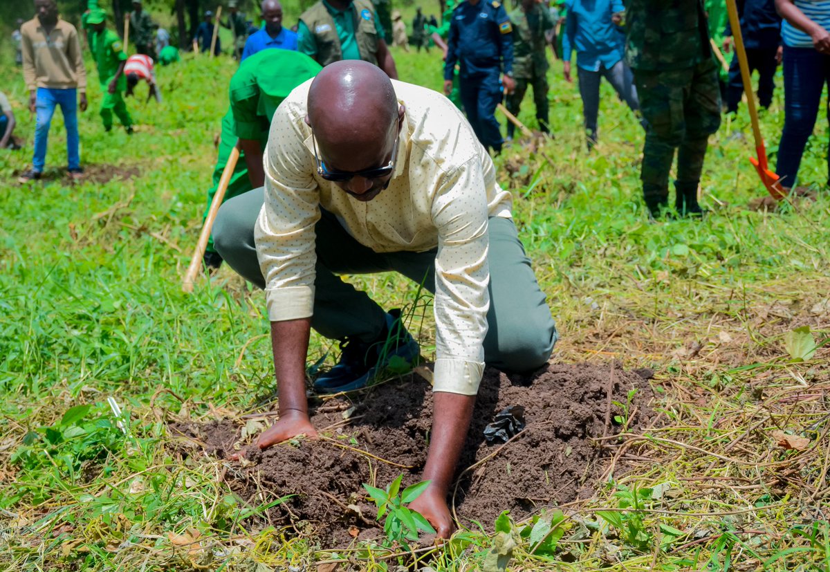 de_ndoli's tweet photo. Uyumunsi kuwa 9/3/2026 Umugaba Mukuru w'Ingabo z'u Rwanda  Gen. Mubarakh Muganga, yifatanyije n'abandi bayobozi na baturage ba @NgaramaSectorR mu gutangiza ibikorwa bihuriweho by'Ingabo na Polisi by'u Rwanda  bigamije kuzamura iterambere n'imibereho myiza y'abaturage. @RwandaMoD https://t.co/d3M6kk4Oy3