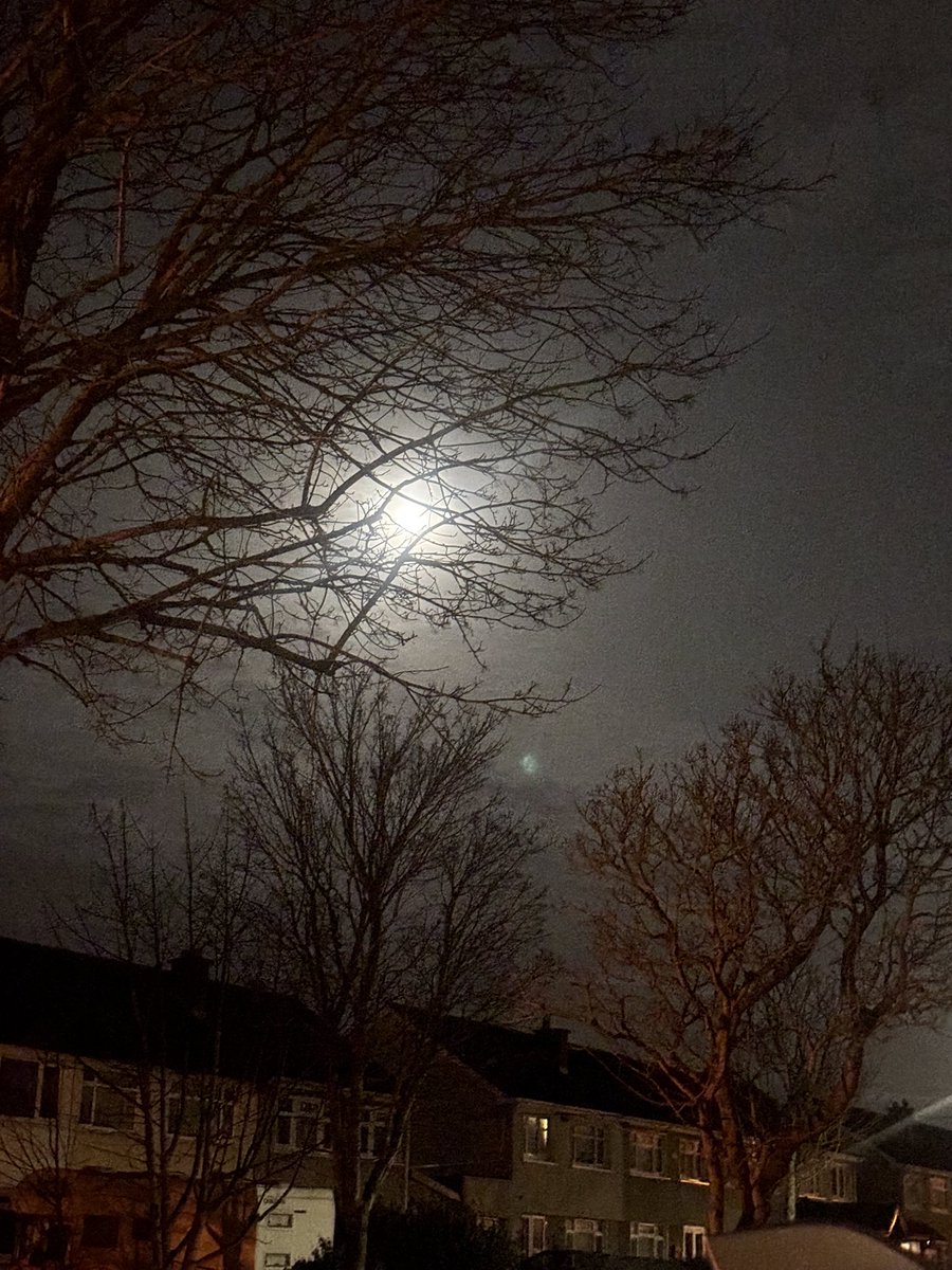 elayne tweet media