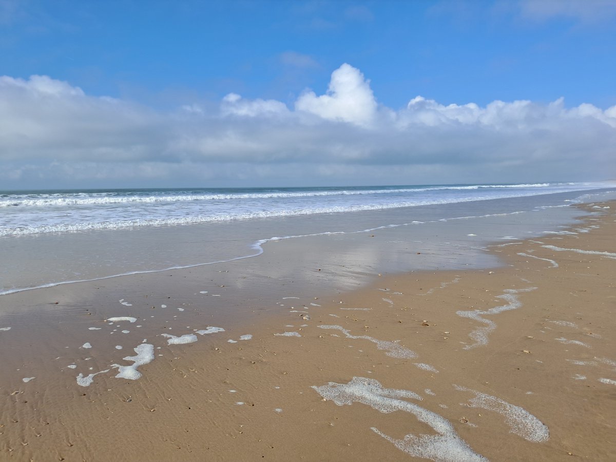 adrianpearce's tweet photo. A lovely Monday morning on the beach Plage Gros Jonc #iledere #boisplage https://t.co/PCUgOb5wcD