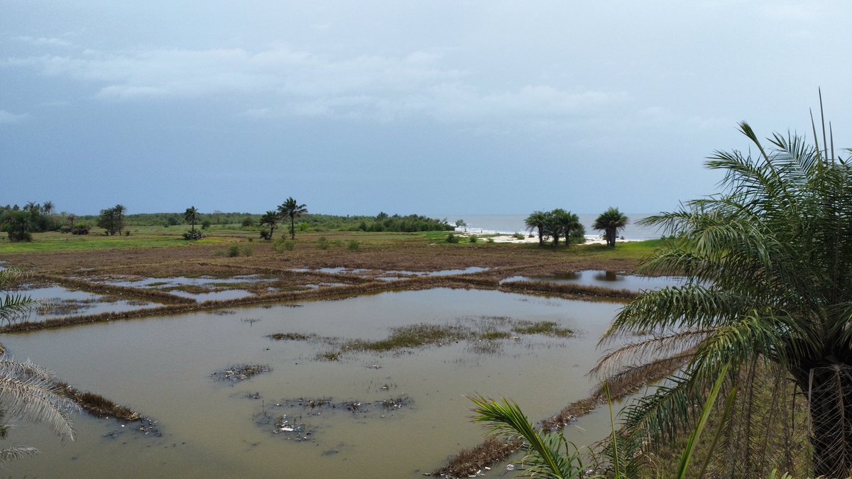 UniverSciences Guinée tweet media