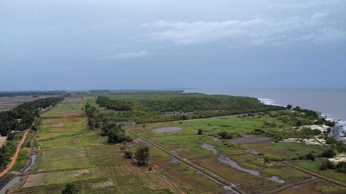 UniverSciences Guinée tweet media