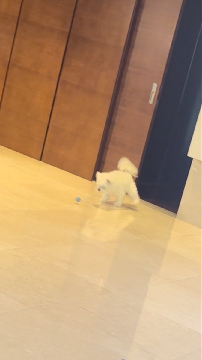 C3_65's tweet photo. 「 펄떡이는 흰살생선 」 https://t.co/5pOlXogchV
