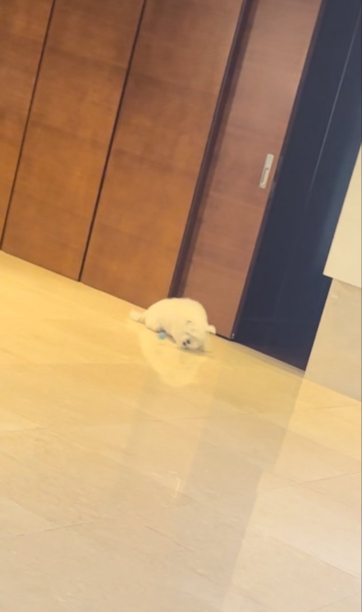 C3_65's tweet photo. 「 펄떡이는 흰살생선 」 https://t.co/5pOlXogchV