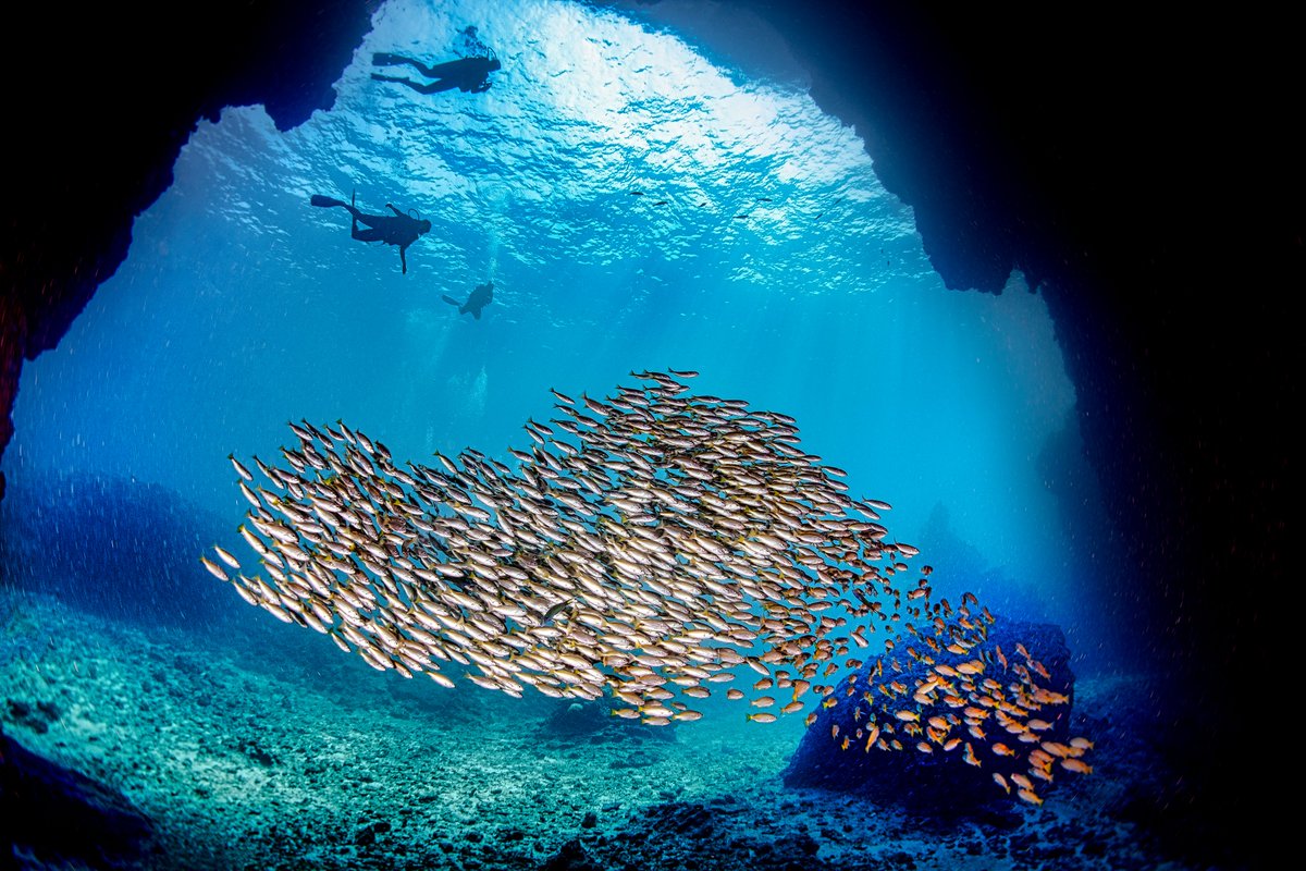 Thaïlande officiel tweet media