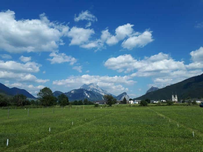 Seed World Europe tweet media