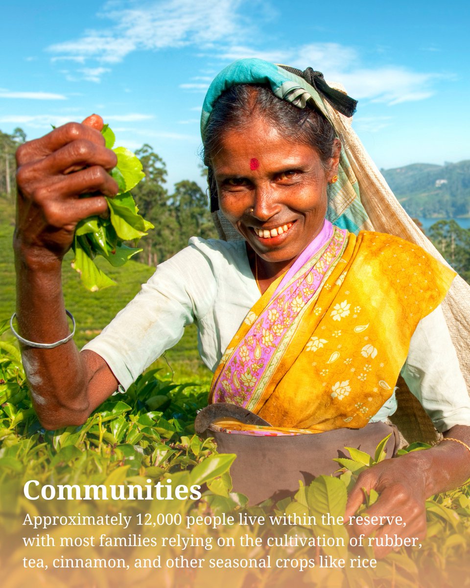 UNESCO South Asia 🏛 #Education #Sciences #Culture tweet media