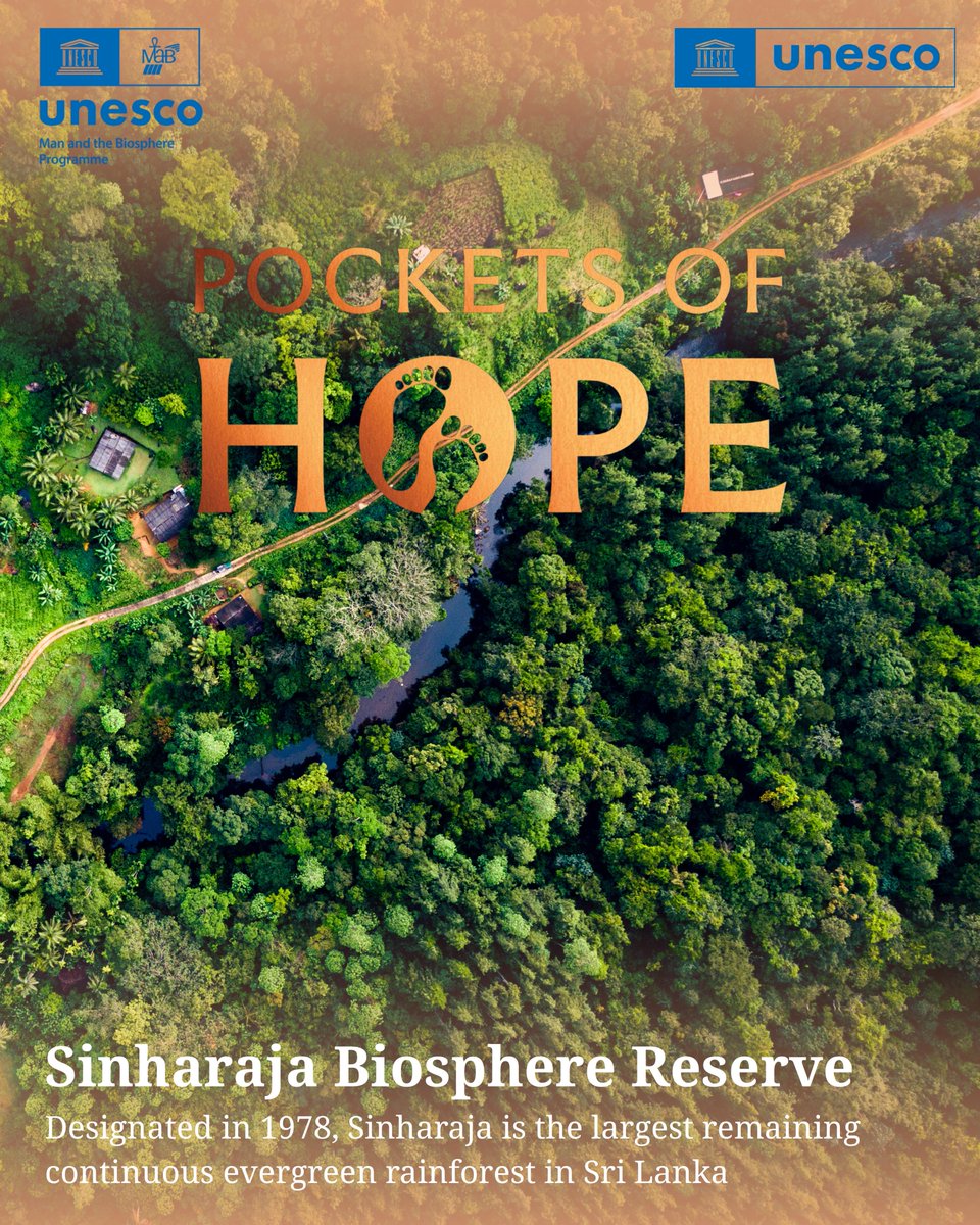 UNESCO South Asia 🏛 #Education #Sciences #Culture tweet media