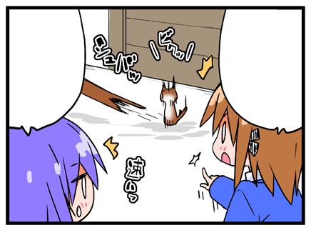 まんがタイムきらら発売中です。「あっちこっち」巻頭カラー載ってますので宜しくお願いします。にゃんこ捜索ミッション後半、猫違い、その頃伊御は、でっかにゃん、フカーッ、なお話です。ヽ(*'v`*) 