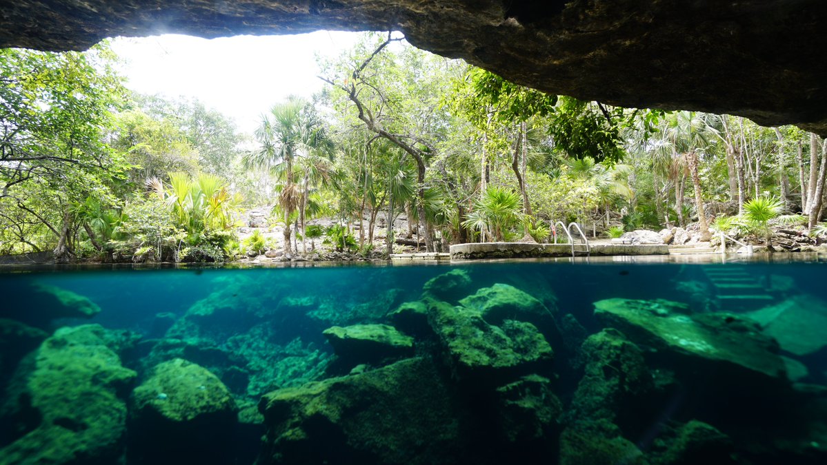 Rusty Fish🌊 tweet media