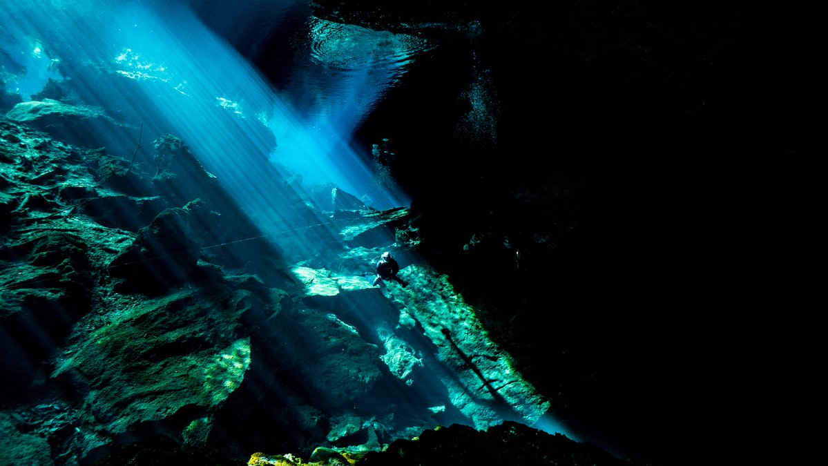 Rusty Fish🌊 tweet media