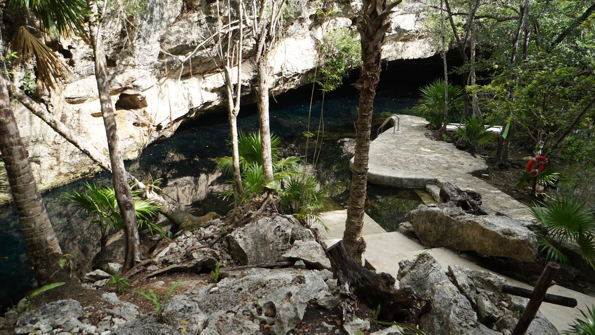 Rusty Fish🌊 tweet media