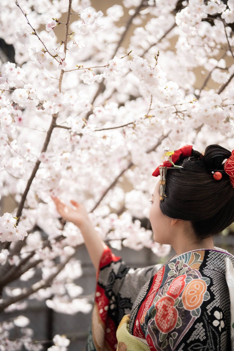 京織雪 tweet media