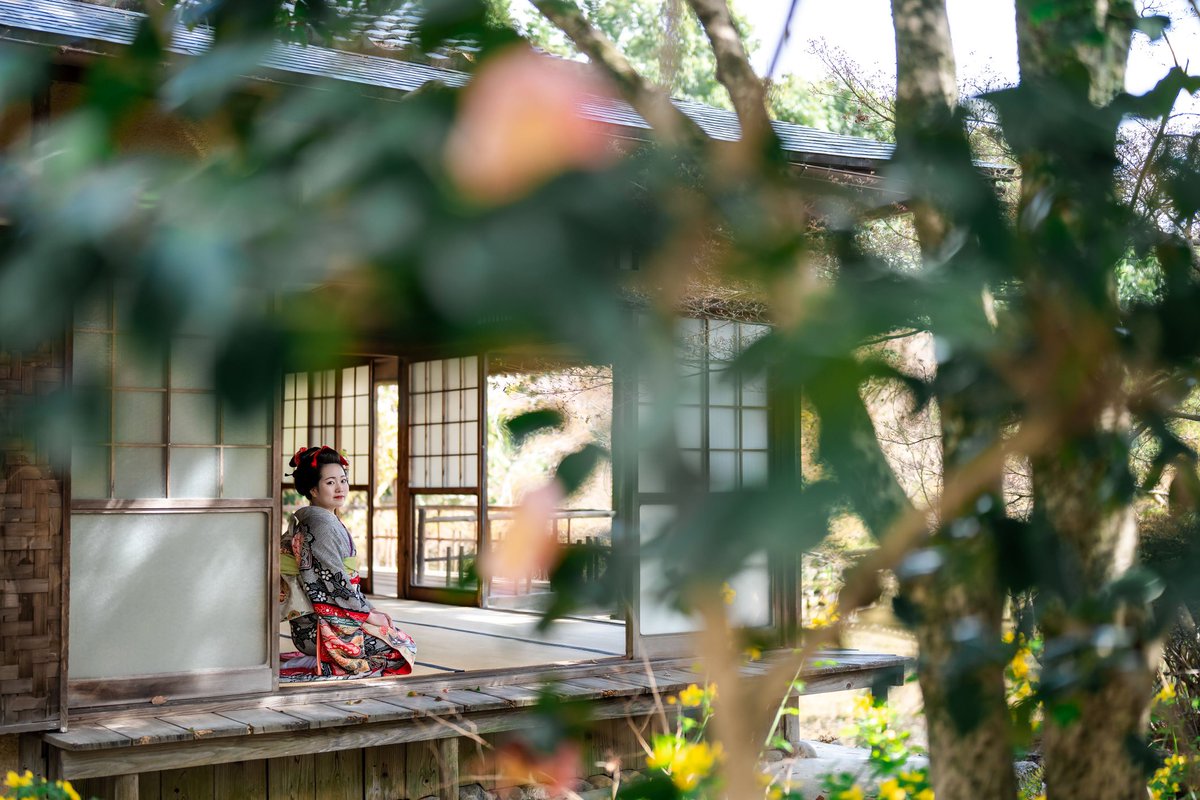 京織雪 tweet media