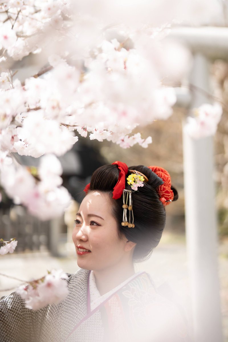 🌸桜×日本髪×成人式🌸

もう間もなく桜のシーズンが始まります！
今年は例年より4.5日早め、3月31日満開予想となっております
3月末〜4月第1週あたりが見頃となりそうです！

髪型 : 結綿
場所 : 梅宮大社
結髪着付けメイク : 安藤琴音
カメラマン : Kazuki Asada