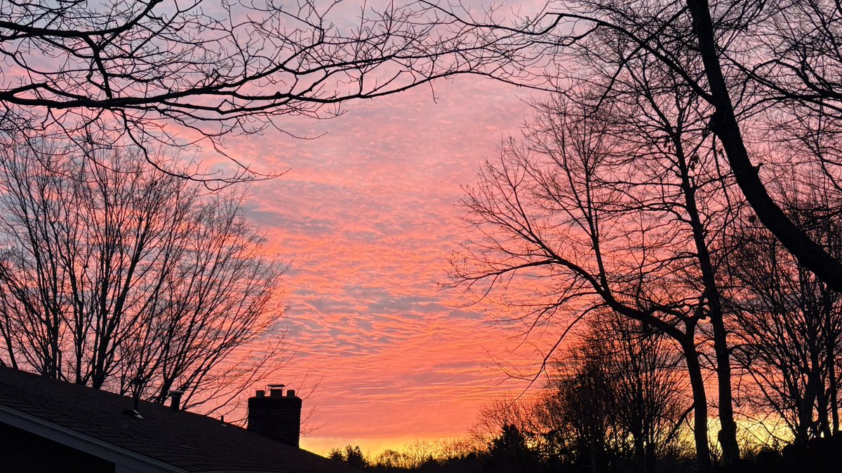 Ben Spath tweet media