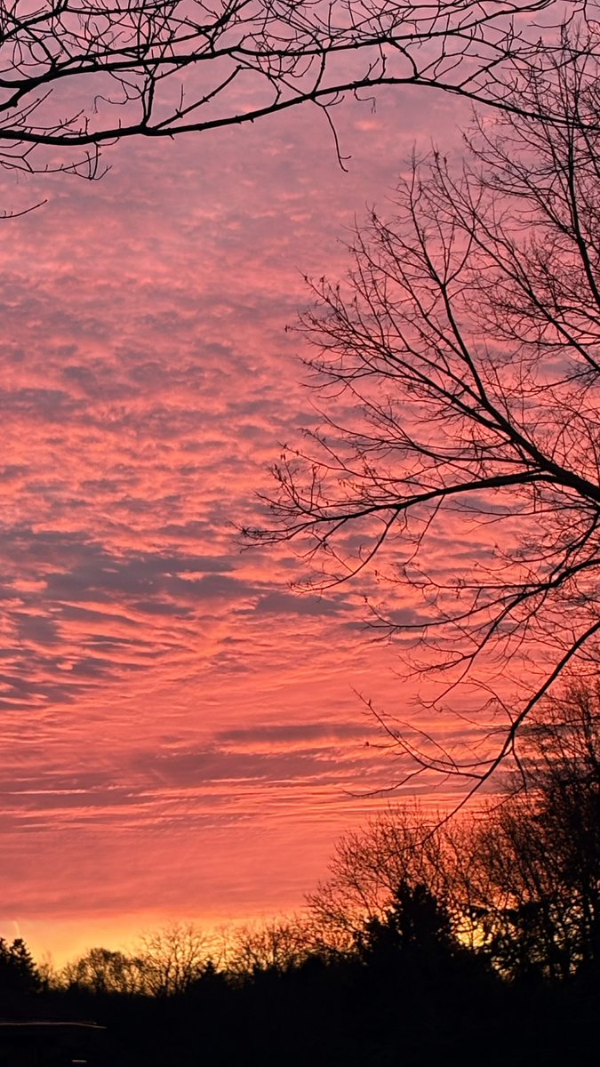 Ben Spath tweet media