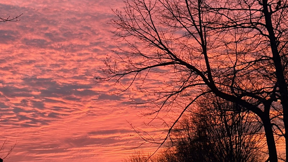 Ben Spath tweet media