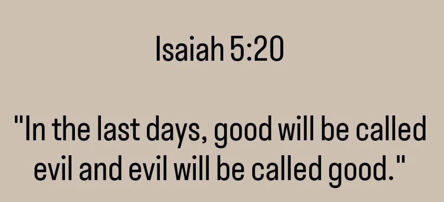 Bible 365 (@bible365_) on Twitter photo 