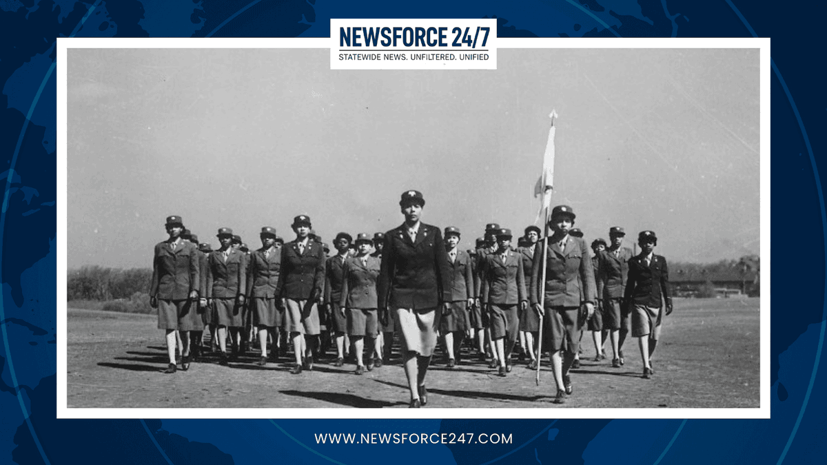 NewsForce247 tweet media