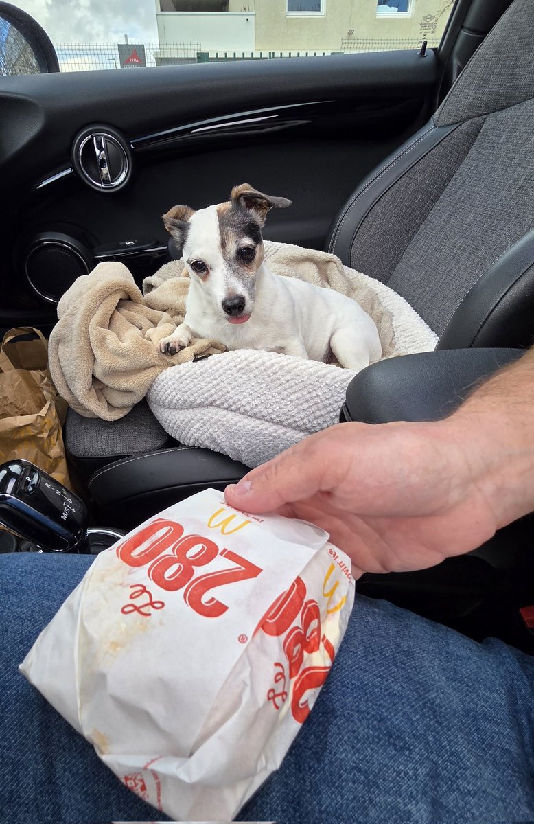 maguy11839736's tweet image. #instant 🥰🐶