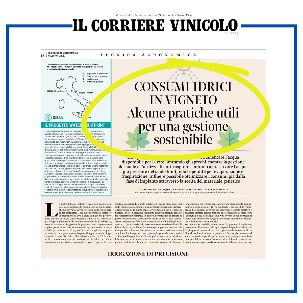 IlVinicolo's tweet photo. Gestione dell’acqua in vigneto: irrigazione di precisione, gestione del suolo e nuove soluzioni agronomiche per ridurre i consumi idrici. Su Il Corriere Vinicolo n. 9/2026.
#corrierevinicolo #vino #vigneto
https://t.co/YMhz85AHi6 https://t.co/wlcf1jYiw7