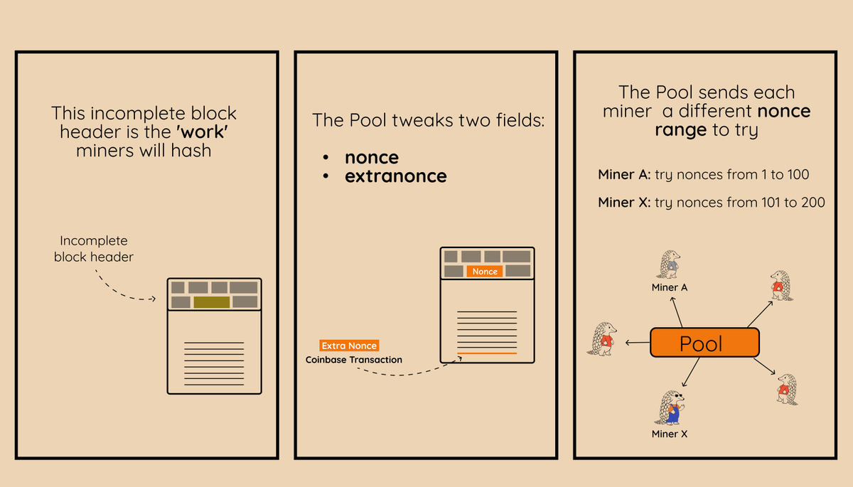 Bitcoin Dev Project tweet media