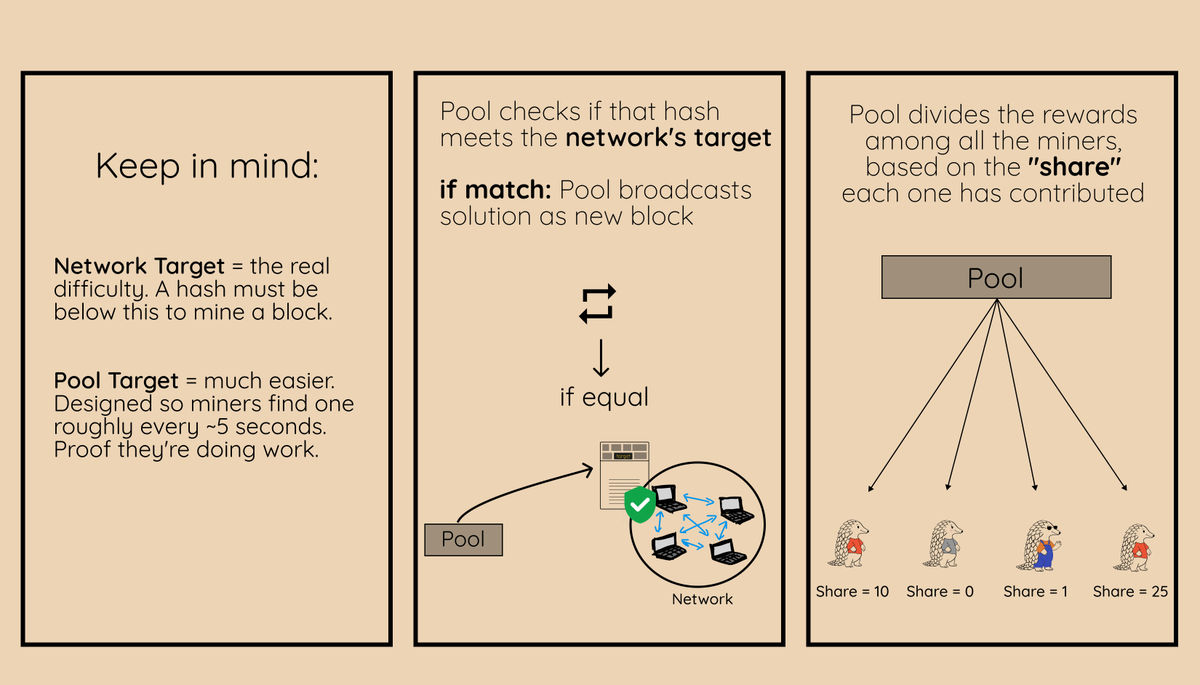 Bitcoin Dev Project tweet media