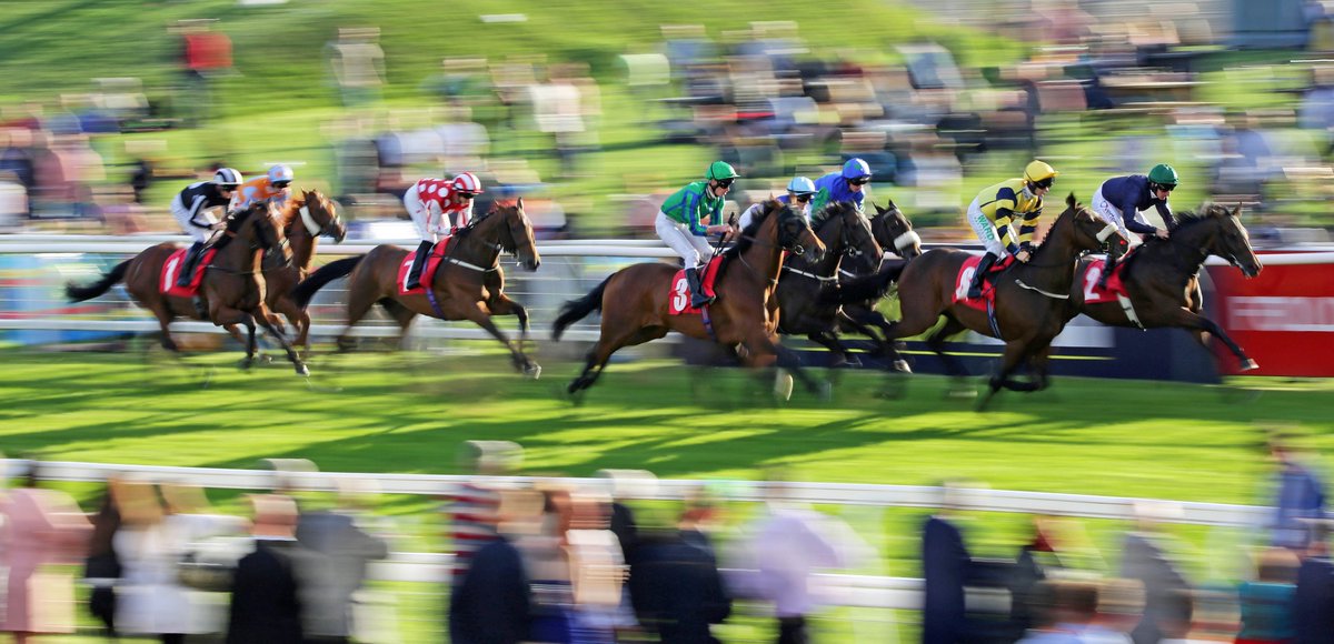 Redcar Racecourse tweet media