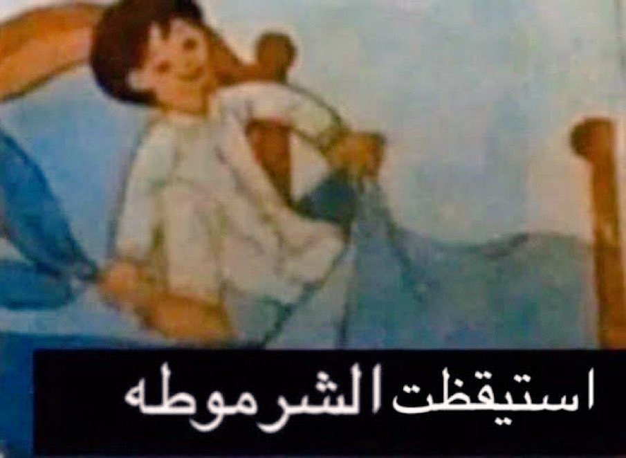 جمعية المرأة المتوحشة tweet media