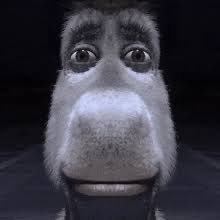 Jack, Normal Girl tweet media