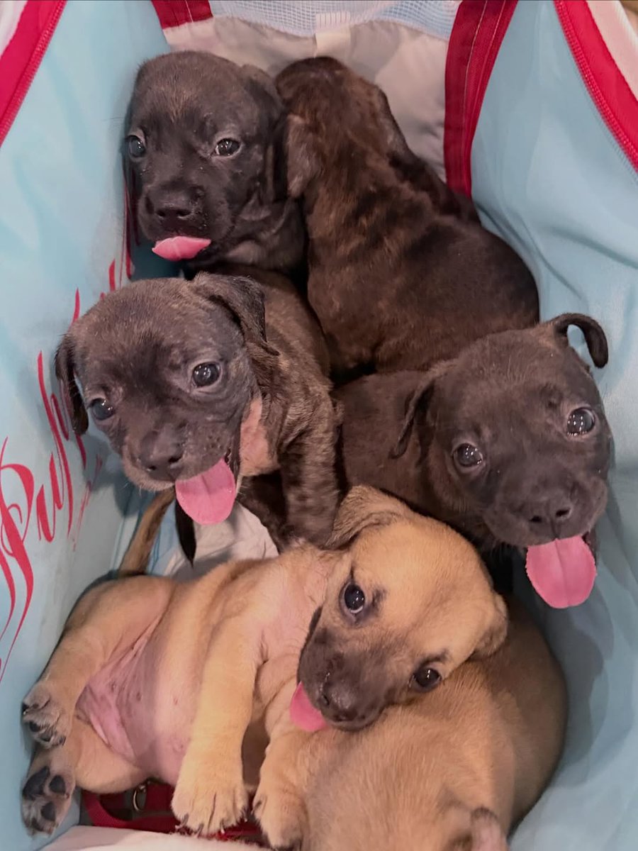 🗓 09-03-2026
🐾 belly.tiny.gummy IG Feed Update

#winynny 
#วินนี่ธนวินท์ 
#ชาววินเนอร์