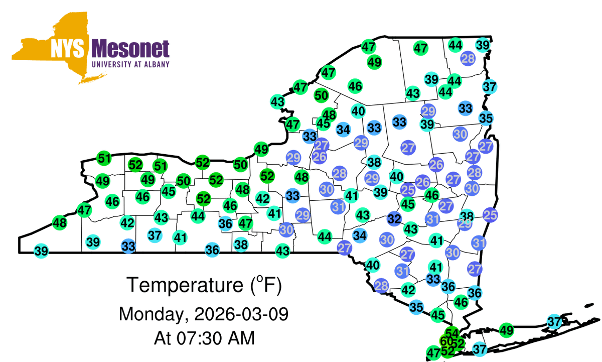 Nick P Bassill tweet media