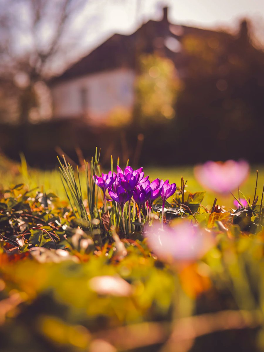 _monica_as's tweet image. “What is happiness, anyhow? 
Is this one of its hours, or the like 
of it? – so impalpable – a mere 
breath, an evanescent tinge? 
I am not sure – so let me give
myself the benefit of the doubt.” 

~ Walt Whitman, 𝑆𝑝𝑒𝑐𝑖𝑚𝑒𝑛 𝐷𝑎𝑦𝑠 
·

NRW, Germany by Tanja Müller